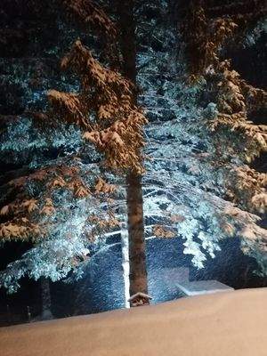 539, romantische Aussicht