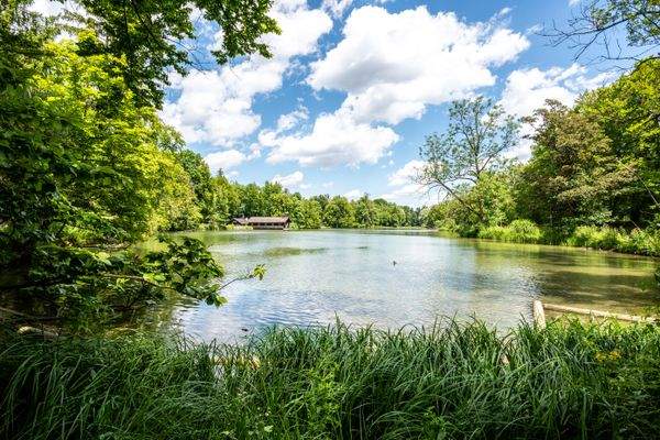 Grünanlage Hinterbrühler See