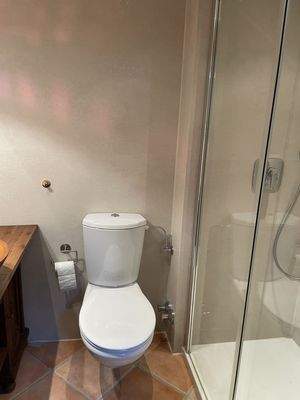 Gäste-WC mit Dusche im EG
