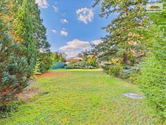 Weitläufiger Garten mit altem Baumbestand_03