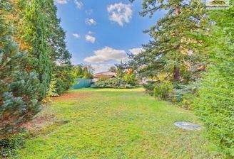 Weitläufiger Garten mit altem Baumbestand_03