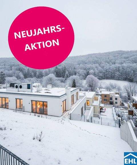 Kaltenleutgeben Wohnungen, Kaltenleutgeben Wohnung mieten