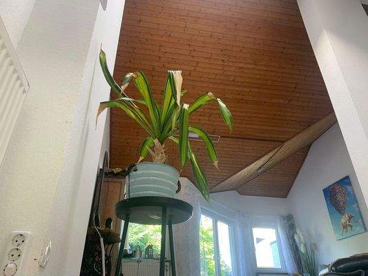 Wohnzimmerblick vom Dach/ Bad 