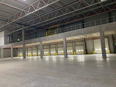 Schkeuditz Halle, Schkeuditz Hallenfläche