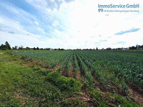 Fürth Bauernhöfe, Landwirtschaft, Fürth Forstwirtschaft