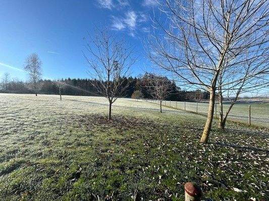 Zwischen Wald und Wiese