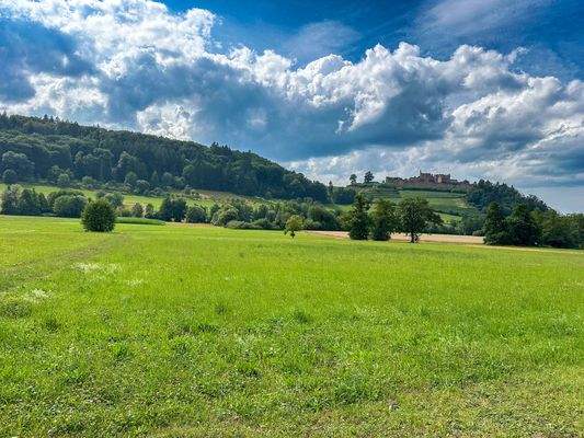 Zugehörige Wiesengrundstücke