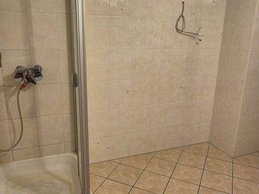 Dusche im Bad.jpg