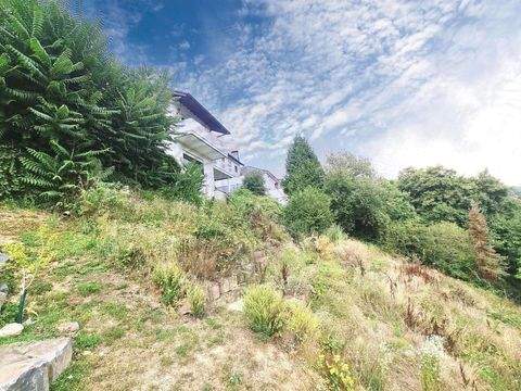 Selters Häuser, Selters Haus kaufen