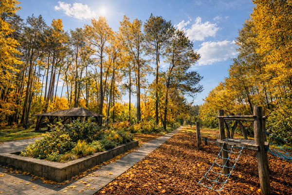 Grundstück (KI-optimiert)