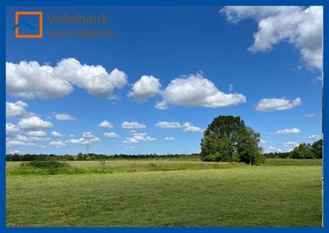 Ostrhauderfehn Bauernhöfe, Landwirtschaft, Ostrhauderfehn Forstwirtschaft