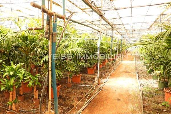 Großflächiger Anbau