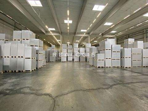 Eching Halle, Eching Hallenfläche