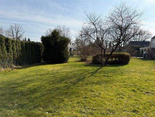 Blick aus dem Garten zum Haus