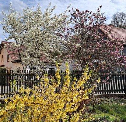 2531111-Lars-Pitan-Immobilien-Group-GmbH