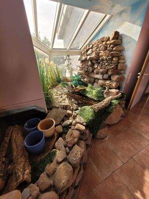 Eyecatcher im Chefzimmer