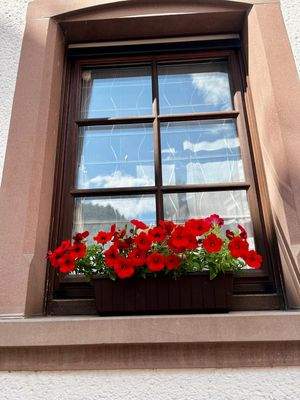 WhatsApp Image 2025-07-30 at 09.41.50 (4).jpeg