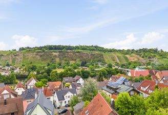 Panoramablick auf die nahen Weinberge