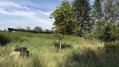 Bienenbüttel Grundstücke, Bienenbüttel Grundstück kaufen