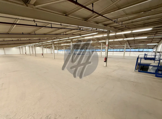 INFOS UNTER: 06171-586000