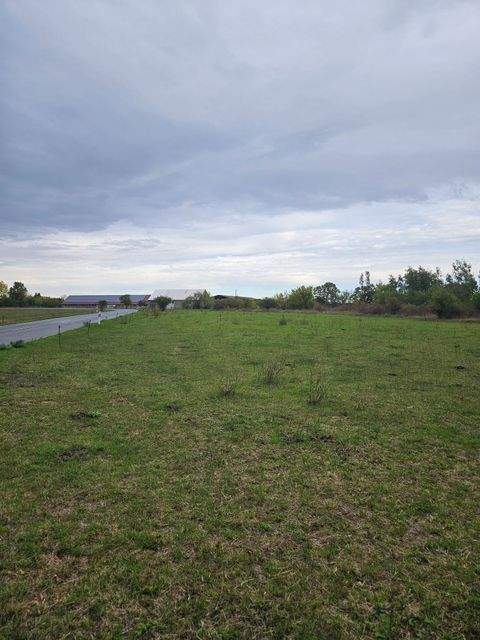 Uebigau-Wahrenbrück Bauernhöfe, Landwirtschaft, Uebigau-Wahrenbrück Forstwirtschaft