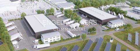 Neuenhagen Halle, Neuenhagen Hallenfläche