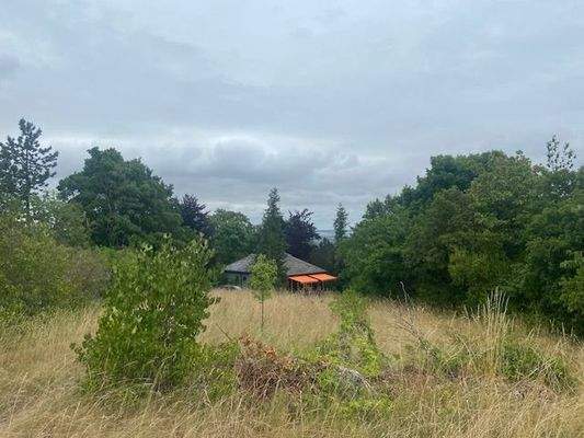 Blick v. Eingang zum Bungalow Bild 1