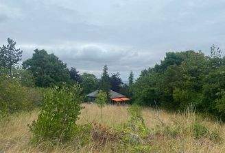 Blick v. Eingang zum Bungalow Bild 1