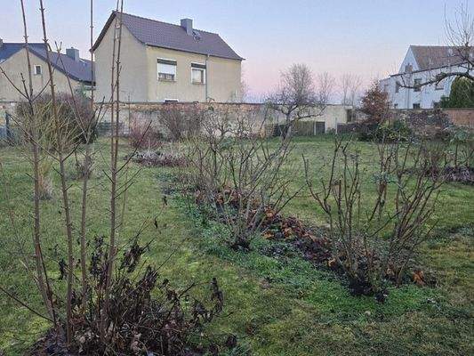 WhatsApp Image 2026-01-26 at 14.19.13.jpg