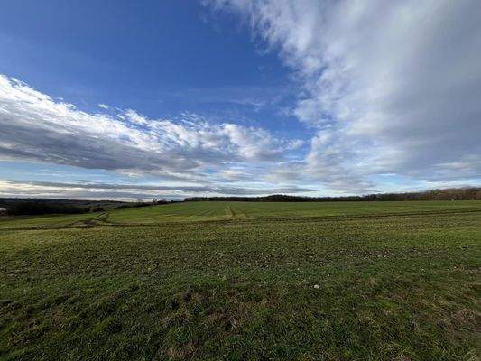 Landwirtschaftsfläche_3