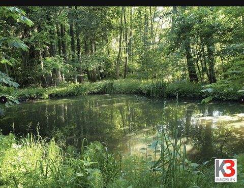 Übersee Häuser, Übersee Haus kaufen