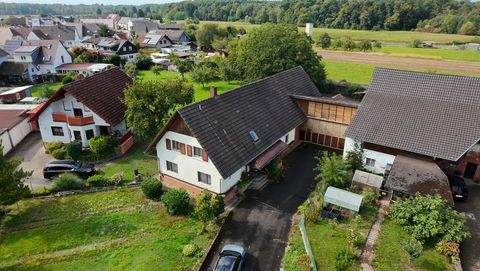 Schutterwald Häuser, Schutterwald Haus kaufen