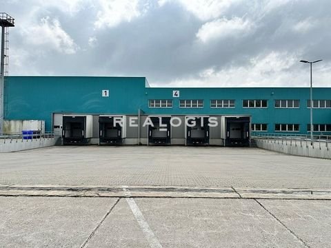 Leipzig Halle, Leipzig Hallenfläche