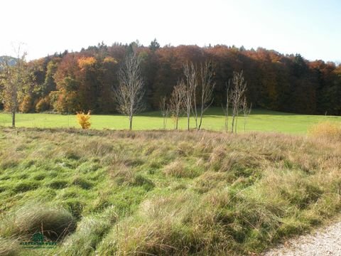 Großgmain Grundstücke, Großgmain Grundstück kaufen