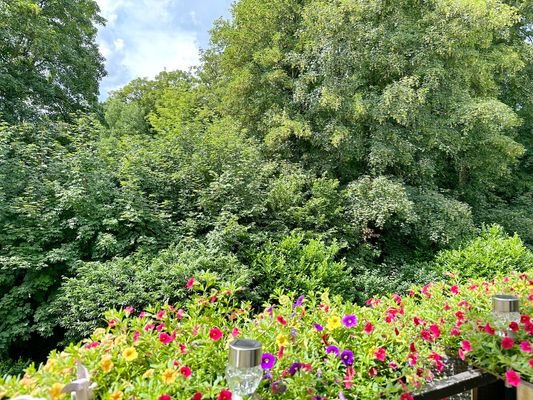 Mit Balkon direkt am Rheinelbe-Park