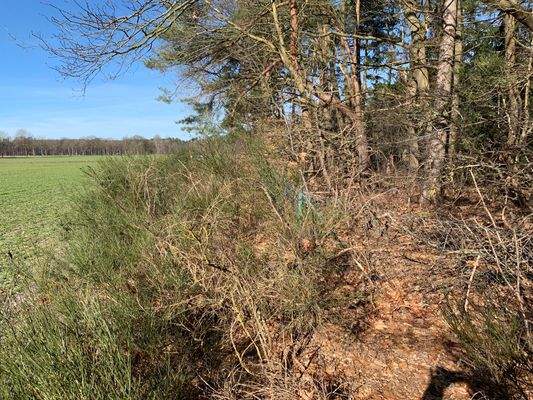 Auf ins Abenteuer.....