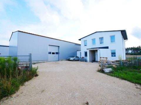 Röttenbach Halle, Röttenbach Hallenfläche