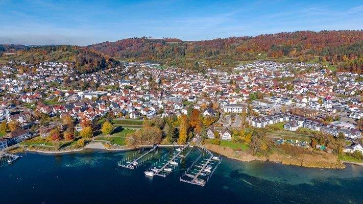 Luftbild vom Bodensee