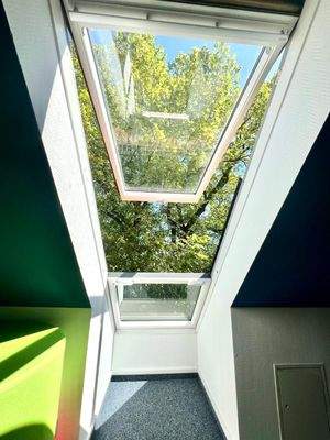 f1e1c313-724d-4369-813c-0b6c8cd07881