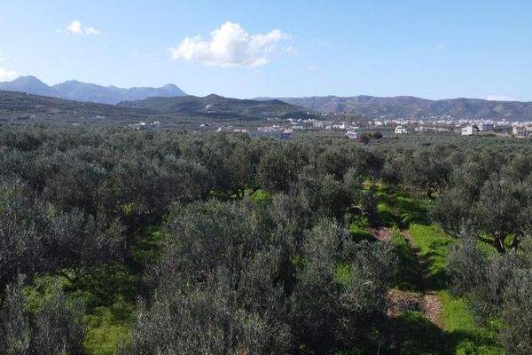 Kreta - Kaloudiana: Schönes Grundstück mit Berg- und Meerblick