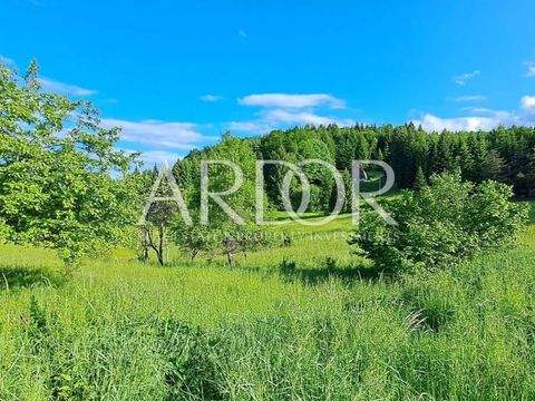 Vrbovsko Bauernhöfe, Landwirtschaft, Vrbovsko Forstwirtschaft