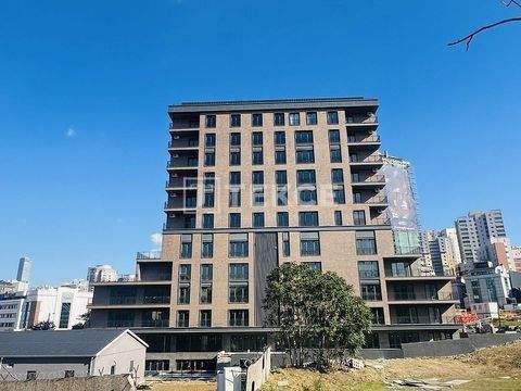 Istanbul Büros, Büroräume, Büroflächen 