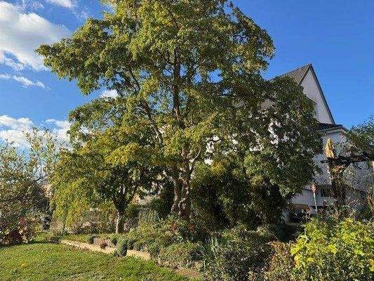 Garten mit Sonnen- und Schattenplätzen