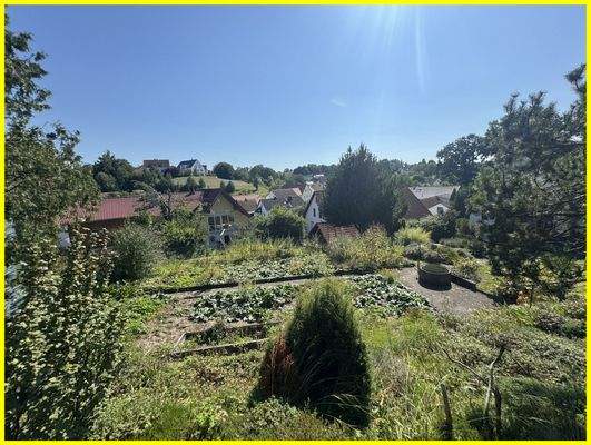 Blick vom Gartenhaus