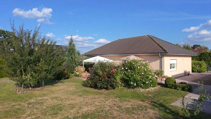 dji_fly_20250815_174650_0075_1755278960218_photo