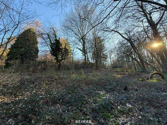 Grundstück_Eselstiege 