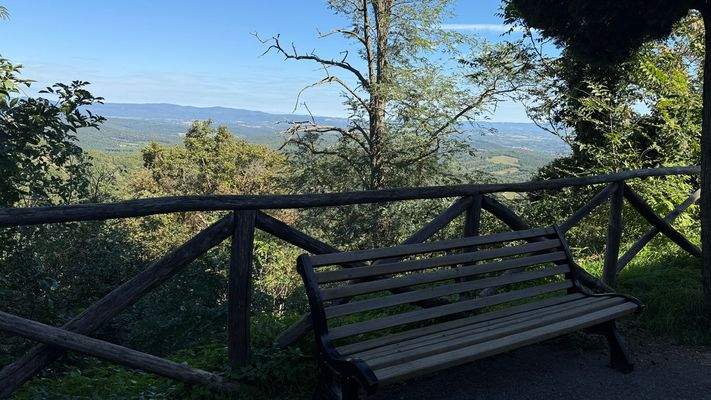 7E30501F-8994-4E86-BE5F-119A1FB8486D_1_102_a