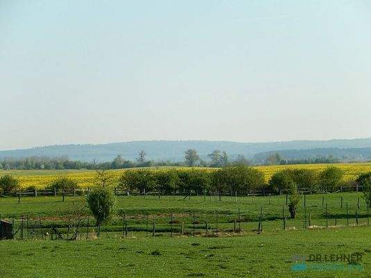 Blick von der Wiese zu den Brohmer Bergen