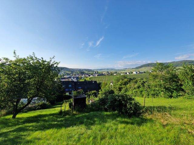 Garten - Blick von ganz oben über die Häuser u W