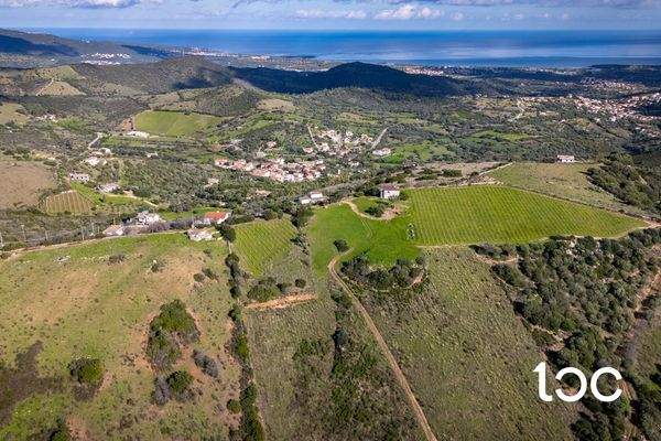 TERR. AGRICOLO-11.jpg